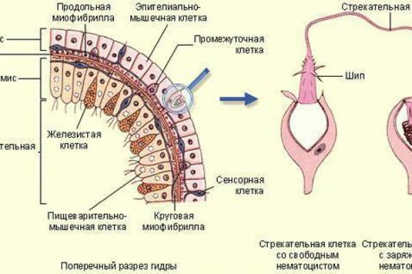 Аккаунты кракен