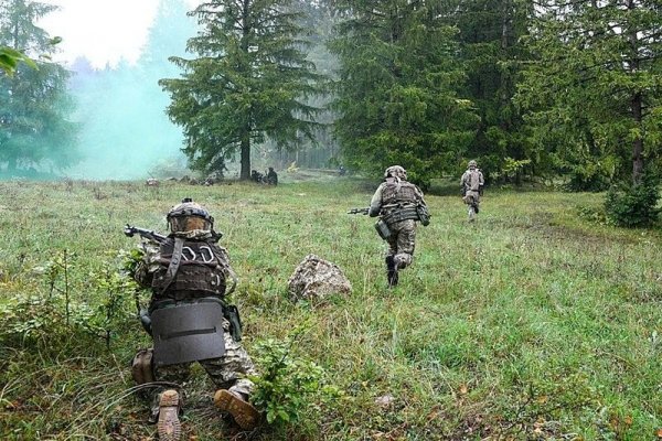 Как зайти на кракен в тор браузере