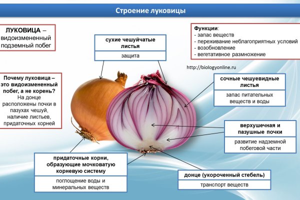 Пользователь не найден кракен даркнет